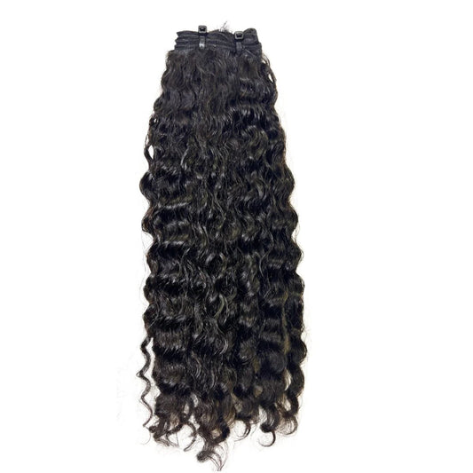 RAW BURMESE CURLY